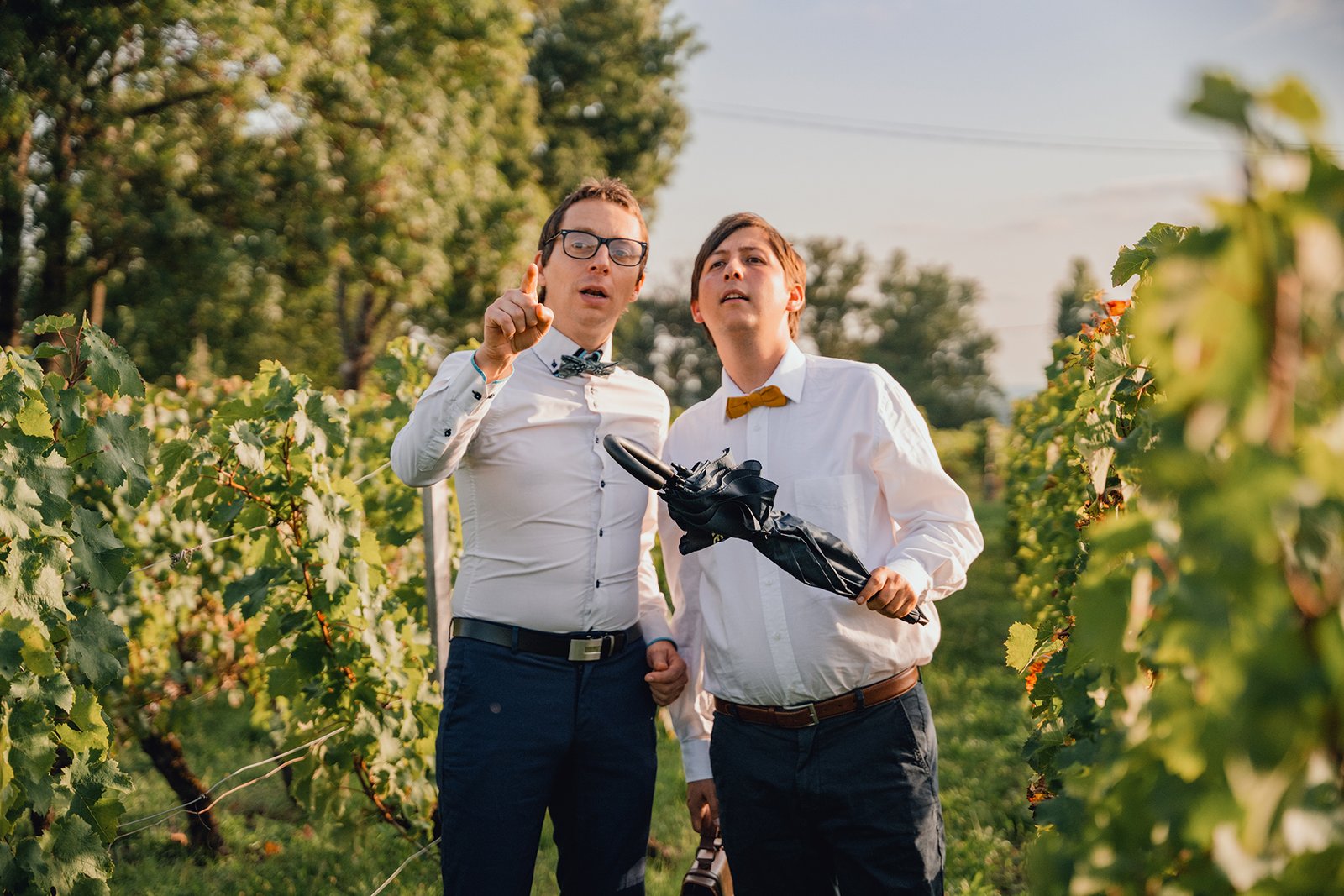 Hautes Définitions – Scène dans les vignes